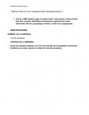 TRABAJO PRACTICO DE COMUNICACIÓN ORGANIZACIONAL II