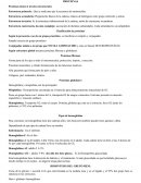 Plegamiento básico de la cadena, enlaces de hidrógeno entre grupo carboxilo y amino.