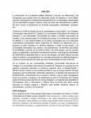 Analisis Perfil de Egreso