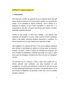 El uso del software educativo avance