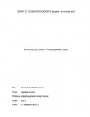 ANTOLOGíA DE GENIOS Y FIGURAS (MARIE CURIE)