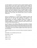 Los Cimex lectularius