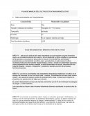 Sistemas agroforestales -PLAN DE MANEJO DEL CULTIVO DE PLATANO MONOCULTIVO