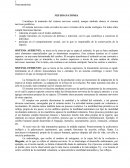 Neuroanatomia y su desarrollo