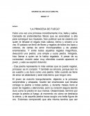 REPORTE DE LECTURA PNL “LA PRINCESA DE FUEGO”