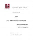 México en la búsqueda de una educación con aprendizaje verdadero