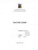 Proyecto Capítulo 1. DESCRIPCION DEL PROYECTO