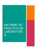 INFORME DE PRÁCTICA DE LABORATORIO MEDICIONES Y CIRCUITOS ELÉCTRICOS