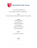 GESTIÓN ESTRATÉGICA INTERNACIONAL PARA POSICIONAR EL PISCO EN CANADÁ