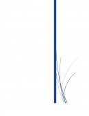 LA RIQUEZA DE LAS PROFESIONES