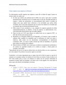 Ensayo sobre Cómo registrar una empresa en México