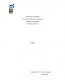 MENCION MATEMATICA PLATON