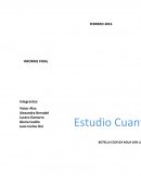 Estudio Cuantitativo SAN LUIS.