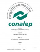 APLICACIÓN DE TÉCNICAS DE CALIDAD Identificación de la ISO