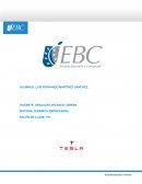 Actividad Dinámica empresarial Tesla