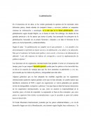 La globalización no cumplió con lo que prometió