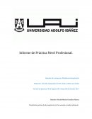 Informe de Práctica Nivel Profesional