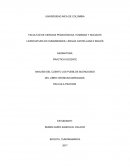 ANALISIS DEL CUENTO LOS PUEBLOS SILENCIOSOS