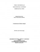 Fundamentos: RECONOCER LAS CARACTERISTICAS Y ENTORNOS GENERALES DEL CURSO