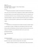 Práctica de electrólisis