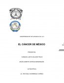 Ensayo el cancer de México