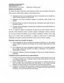 Ensaoyt sobre MODELO DE NEGOCIO.