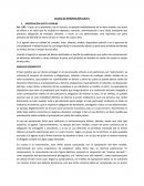 Principio en blanco DELITO DE APROPIACIÓN ILÍCITA