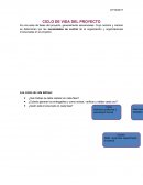 EJEMPLO DE CICLO DE VIDA DEL PROYECTO