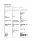 Modelo Operativo de la empresa Separación estratégica de cuentas.