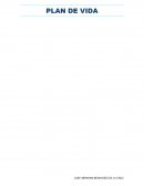 PLAN DE VIDA DESARROLLO HUMANO