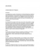 ERGONOMÍA CONDICIONES DE TRABAJO