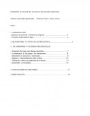 Islamofobia, un recorrido por los procesos psicosociales subyacentes