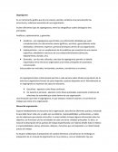 Analíticos, suplementarios, y generales