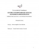 NORMAS FISCALES DE LA ACTIVIDAD FINANCIERA