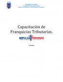 Capacitación de Franquicias Tributarias.