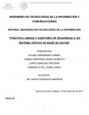 Práctica unidad 3 Auditoria de seguridad a un sistema crítico de base de datos