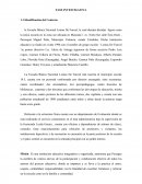 Estrategia de investigacion