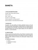 Un ejemplo de Reporte Baneta