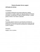 Exudado- Práctica Exudado Cérvico vaginal