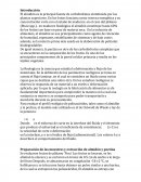 Reologia de fluidos
