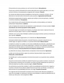 Un nuevo Examen Introduccion a la Administracion