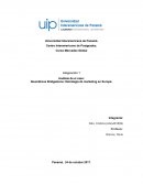 Neumáticos Bridgestone: Estrategia de marketing en Europa.