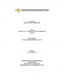 GERENCIA DE MERCADOS CAPITULO 1 Y 2 DIRECCION DE MARKETING
