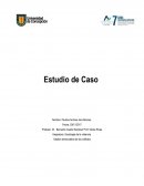 Recoleccion Reflexion de la estructura y el contenido del documento
