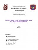 TEMA DE CONSTRUCCIÓN DE CURVAS DE PENETRACIÓN DE CALOR Y EVALUACIÓN DEL PROCESO TÉRMICO