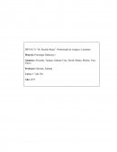 Como es que se da un buen Informe de Lel desarrollo del niño