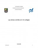 Las áreas verdes en mi colegio