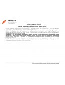 Creando, entregando y capturando el valor, para su negocio