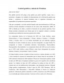 Control genético y síntesis de proteínas