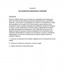 Practica #3 LOS TEJIDOS DE CONDUCCIÓN Y NUTRICIÓN